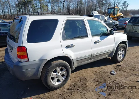 2006 Ford Escape Xlt z USA, uszkodzony, nr VIN 1FMYU03ZX6KA05538